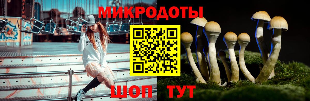 Полевской  Галлюциногенные грибы мухоморы  Вход с VPN 